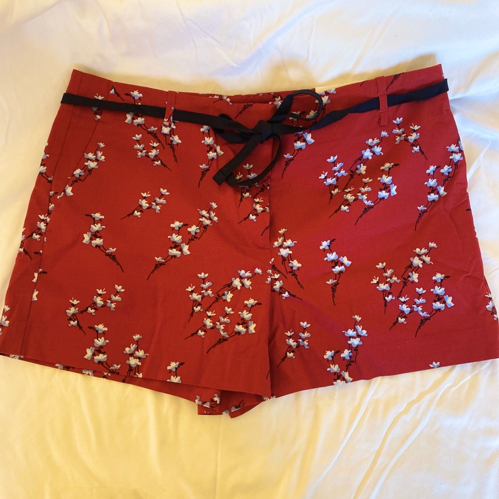 Cute fun shorts